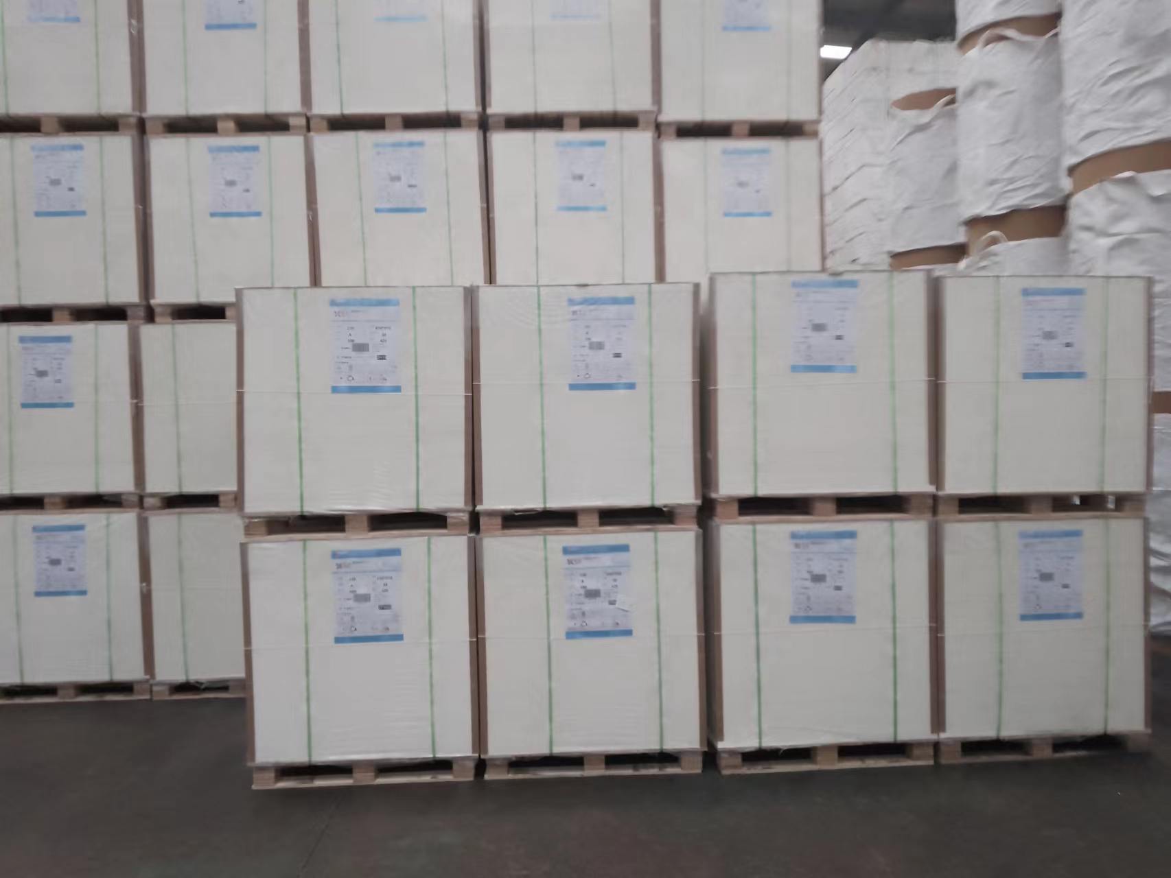 C1S Ivory Board 210gsm