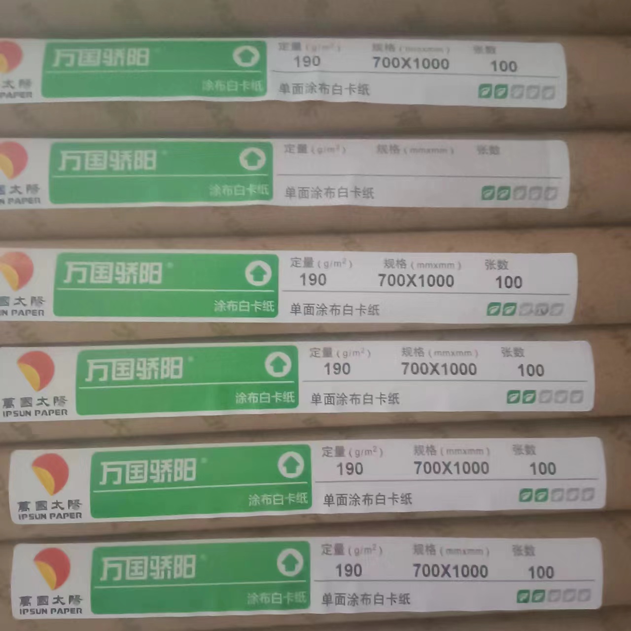 C1S Ivory Board 190gsm