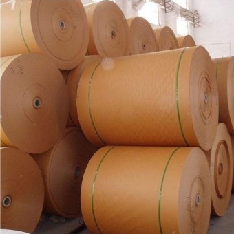 Current Status of The Global Paper Industry: Trends, Challenges, And Opportunities 