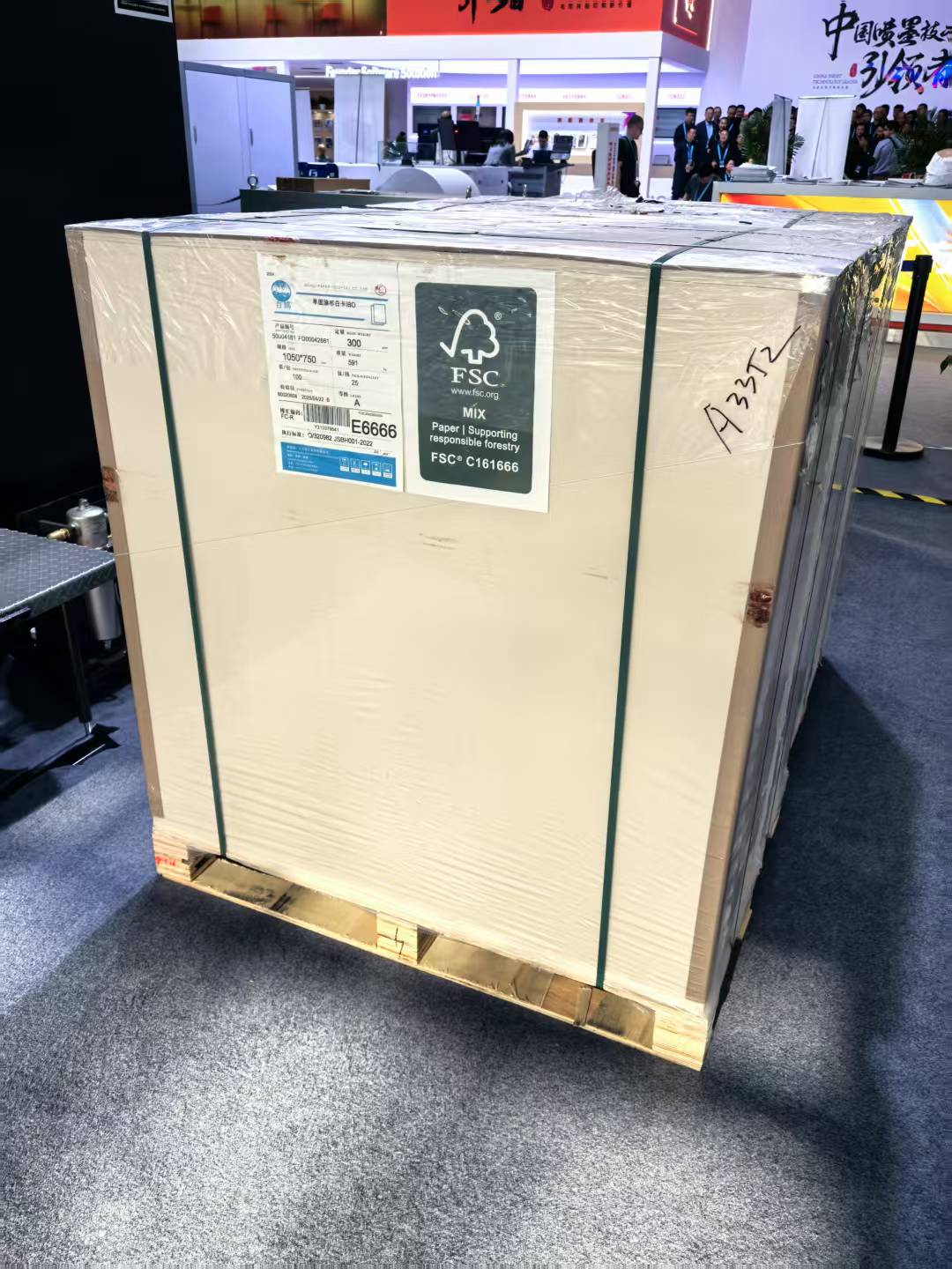C1S Ivory Board