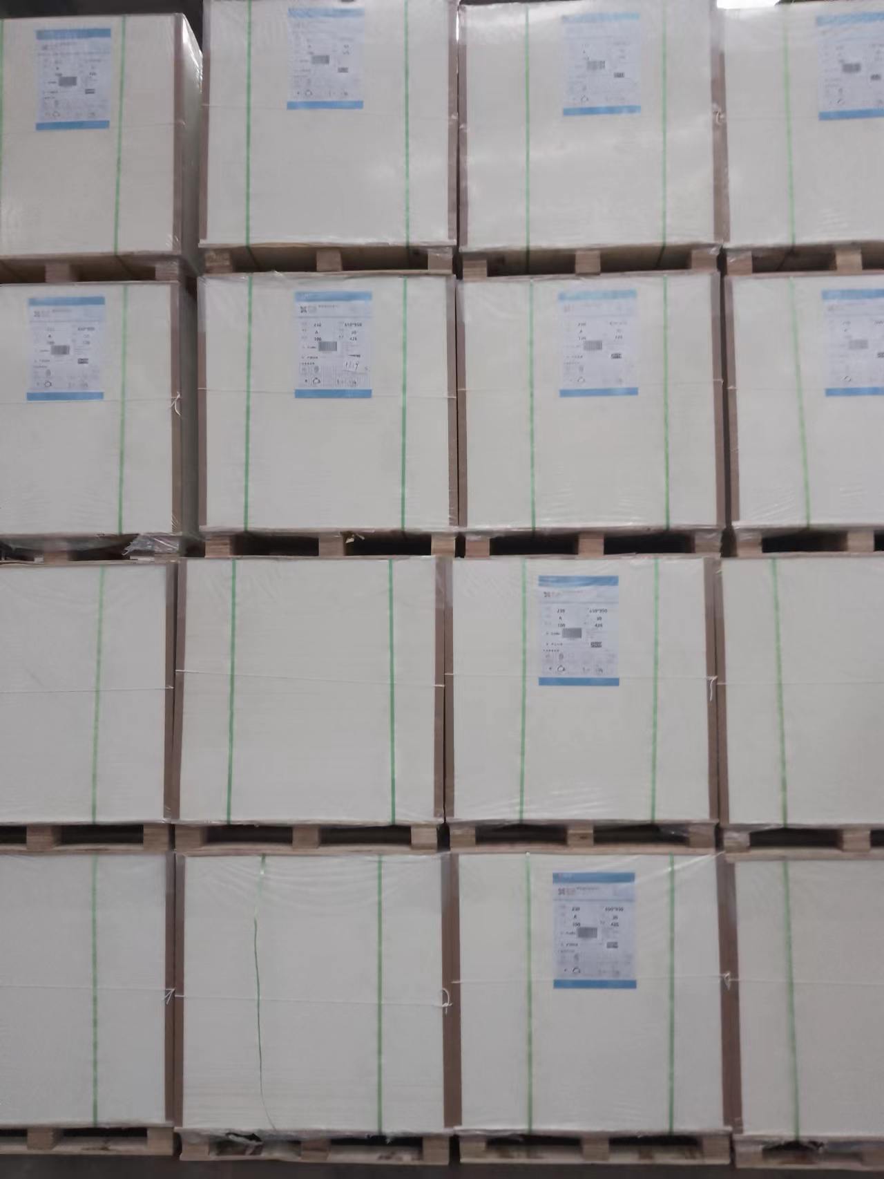 C1S Ivory Board 210gsm