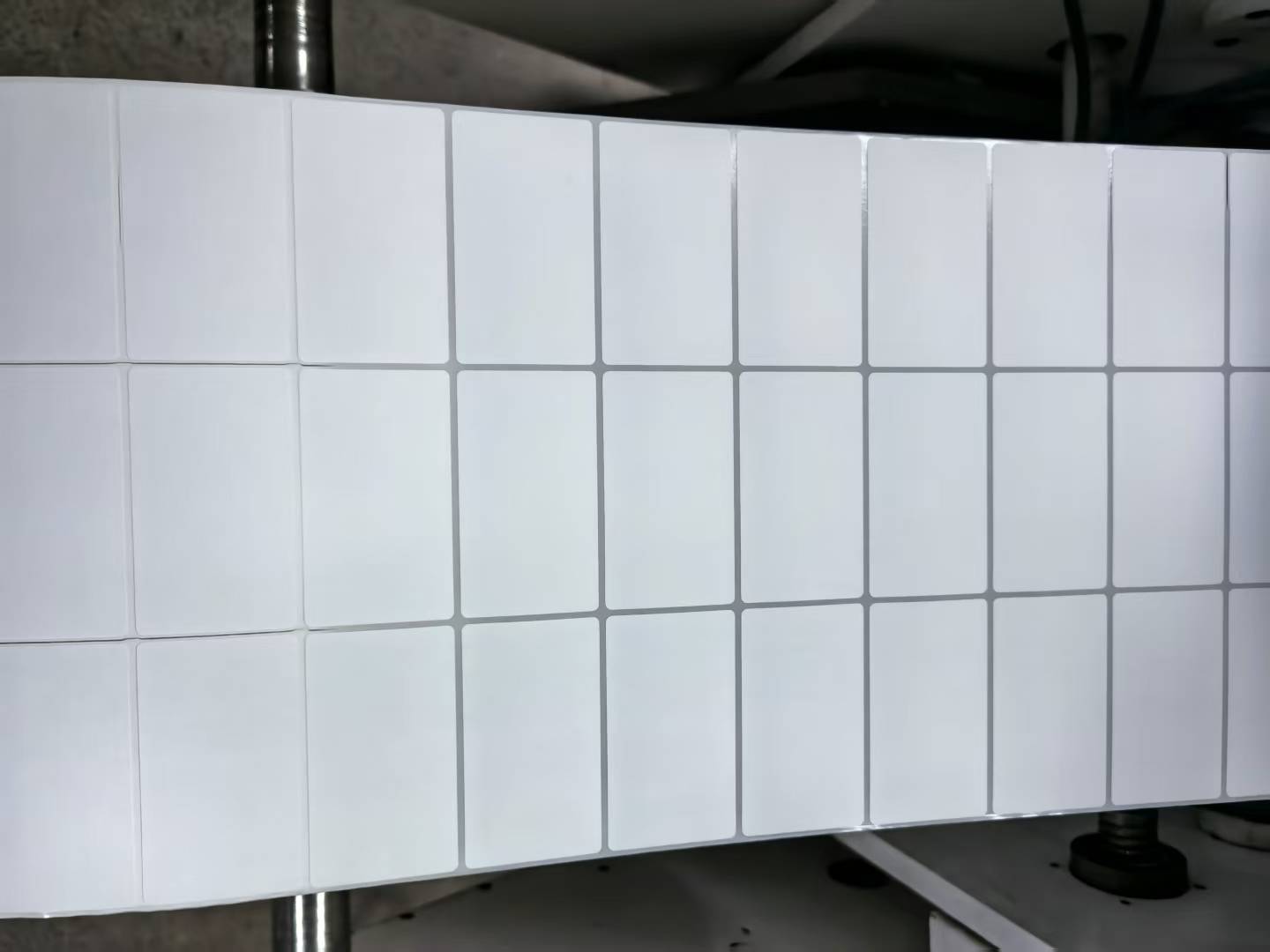 How to Customize Shipping Label for Your Business